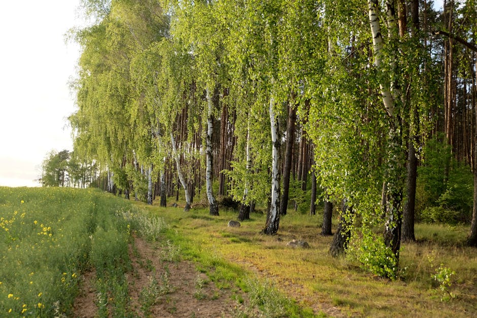 香港公司秘書的重要性與職責分析