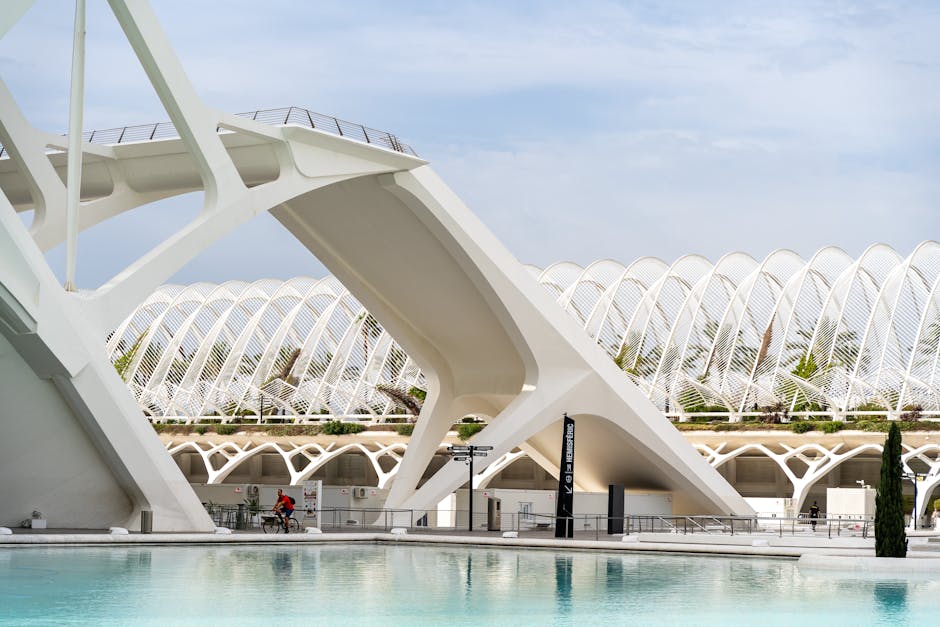 移民條件:深入理解與智慧選擇的指南