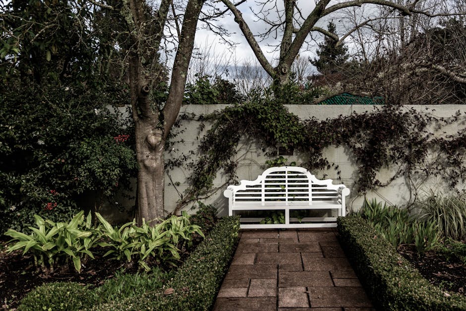 緊急援助金：輕鬆搞懂申請全步驟