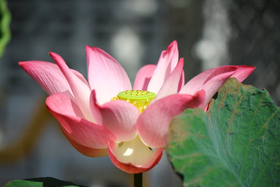 美股行情解析:技術面看透市場秘密