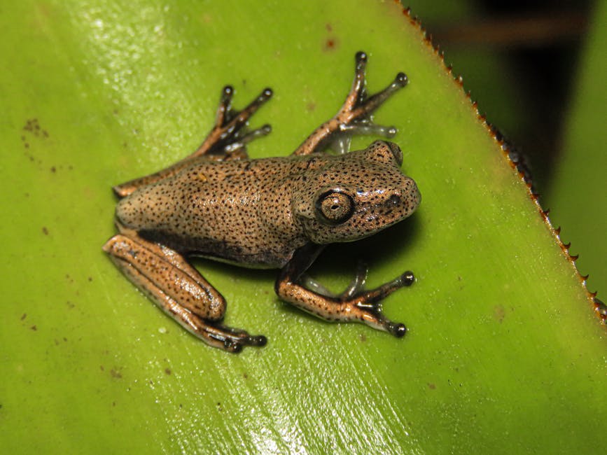 皮秒激光幾耐做一次？專業解說與建議